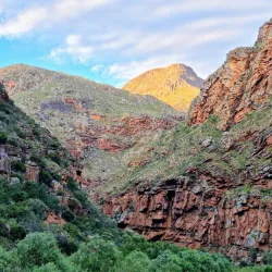 Swartberg Nature Reserve - Ladismith