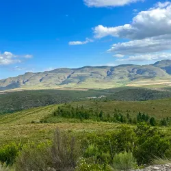 Swartberg Nature Reserve - Ladismith