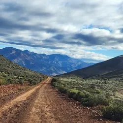 Swartberg Nature Reserve - Ladismith