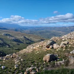 Swartberg Nature Reserve - Ladismith