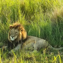 Biggarsberg Nature Reserve - Ladysmith
