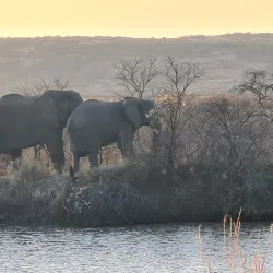 Biggarsberg Nature Reserve - Ladysmith