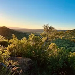 Biggarsberg Nature Reserve - Ladysmith