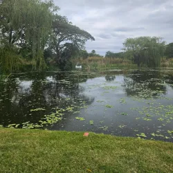 Ladysmith Golf Club - Ladysmith