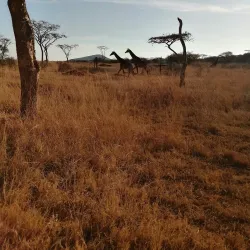 Spioenkop Nature Reserve - Ladysmith