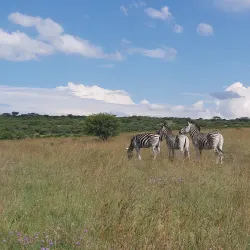 Spioenkop Nature Reserve - Ladysmith