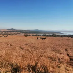 Spioenkop Nature Reserve - Ladysmith