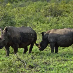 Kruger National Park (Southern Entrance) - Louis Trichardt