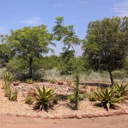 Makgabeng Plateau - Louis Trichardt