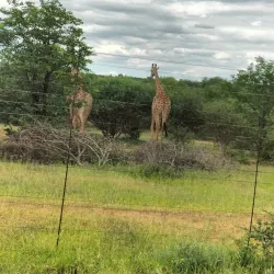 Makhado Cultural Village - Louis Trichardt