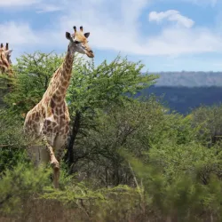Vhembe Biosphere Reserve - Louis Trichardt