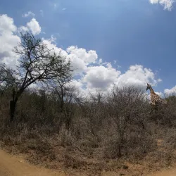 Vhembe Biosphere Reserve - Louis Trichardt