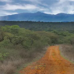 Vhembe Biosphere Reserve - Louis Trichardt