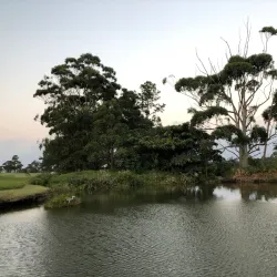 Margate Country Club - Margate