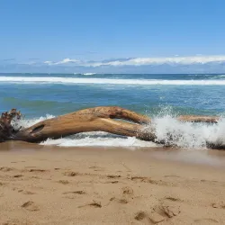 Margate Surfing Spots - Margate