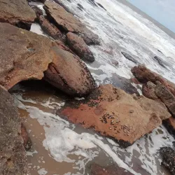 Margate Surfing Spots - Margate