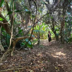 Mpenjati Nature Reserve - Margate