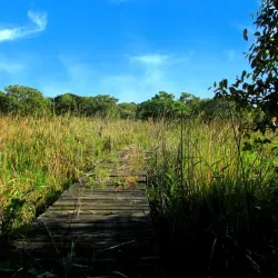 Mpenjati Nature Reserve - Margate
