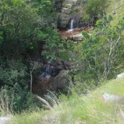 Umtamvuna Nature Reserve - Margate