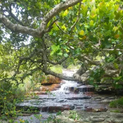 Umtamvuna Nature Reserve - Margate