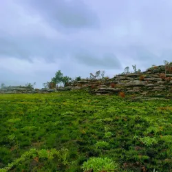 Umtamvuna Nature Reserve - Margate