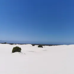 Atlantis Nature Reserve - Melkbosstrand