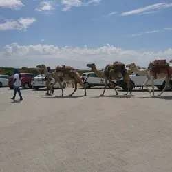 Atlantis Nature Reserve - Melkbosstrand