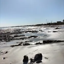 Melkbosstrand Beach - Melkbosstrand