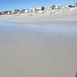 Melkbosstrand Beach - Melkbosstrand