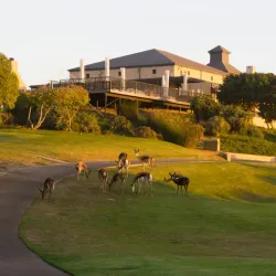 Melkbosstrand Golf Club - Melkbosstrand