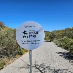 West Coast Fossil Park - Melkbosstrand