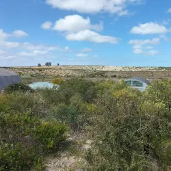 West Coast Fossil Park - Melkbosstrand