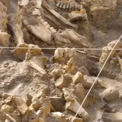 West Coast Fossil Park - Melkbosstrand