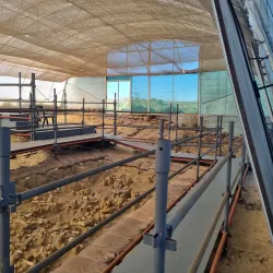 West Coast Fossil Park - Melkbosstrand