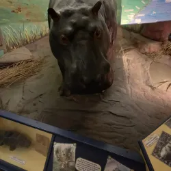 Amathole Museum - Middelburg