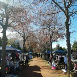 Local Craft Markets - Middelburg