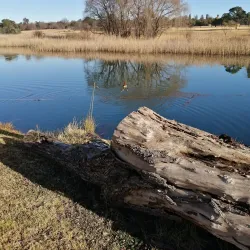 Middelburg Golf Club - Middelburg