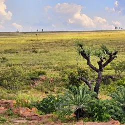 Middelburg Nature Reserve - Middelburg