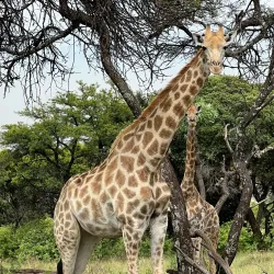 Middelburg Nature Reserve - Middelburg