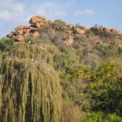 Blue Hills Nature Reserve - Midrand