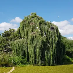 Blue Hills Nature Reserve - Midrand