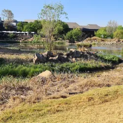 Blue Hills Nature Reserve - Midrand