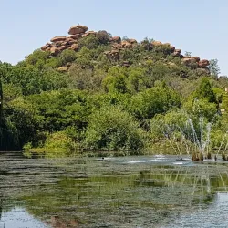 Blue Hills Nature Reserve - Midrand