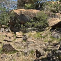 Blue Hills Nature Reserve - Midrand