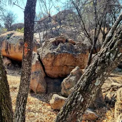 Blue Hills Nature Reserve - Midrand