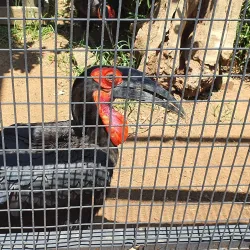Lory Park Zoo and Sanctuary - Midrand
