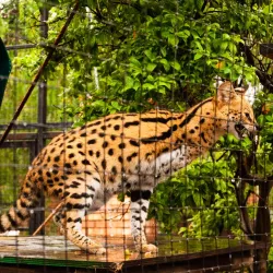 Lory Park Zoo and Sanctuary - Midrand