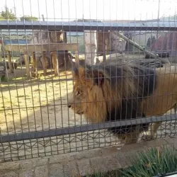 Lory Park Zoo and Sanctuary - Midrand