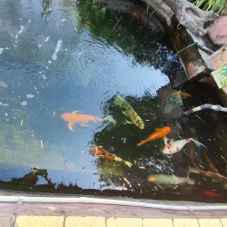 Lory Park Zoo and Sanctuary - Midrand