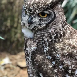 Lory Park Zoo and Sanctuary - Midrand